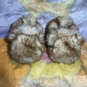 EUC Fuzzy baby slippers. Newborn tan/cream